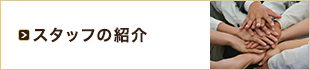 スタッフの紹介