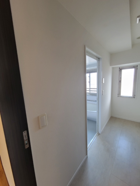 洗面背面はエコカラット張り